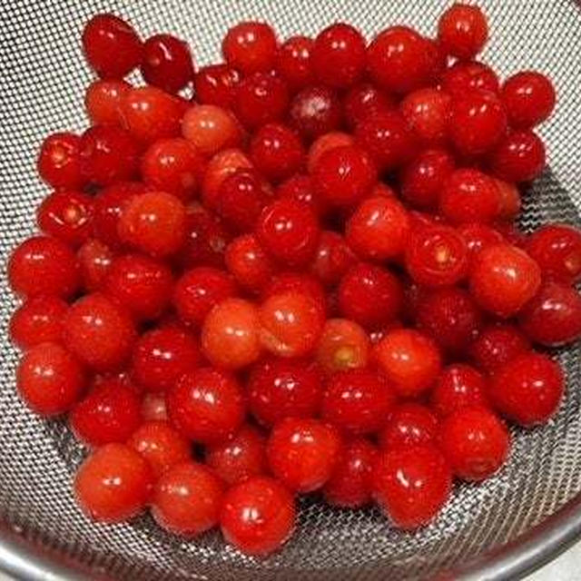 「博士ちゃん」のお味噌汁・さくらんぼとミント朝採り