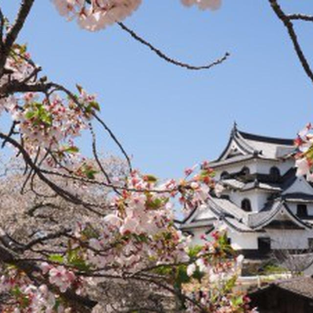 日本株ＰＦ　昨年末からのパフォーマンスは－3％弱に