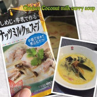 鶏肉のココナッツミルクカレースープ
