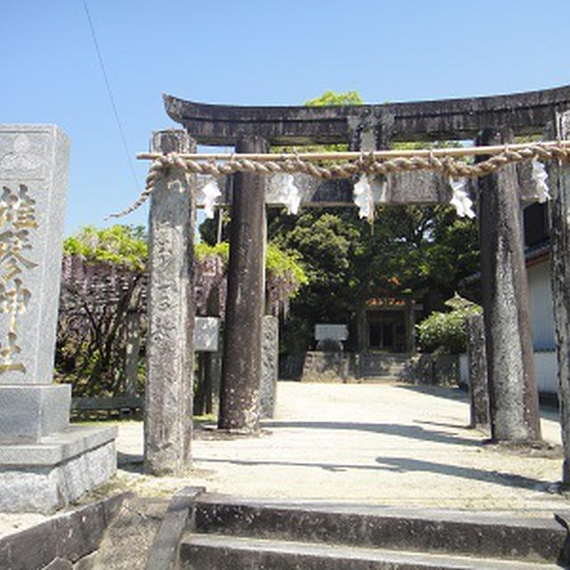 雉琴神社へ藤を見に・・・　(=ﾟωﾟ)ﾉ