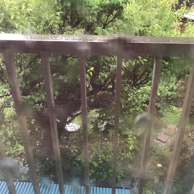 雨がすごい