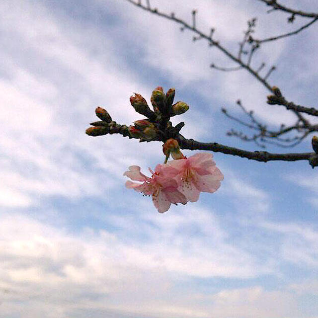 節分＆立春ですね♪(*^_^*)