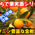 【レシピ】おうちで果実酒シリーズ！金柑酒！