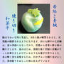 練り切り和菓子　若鮎と青楓