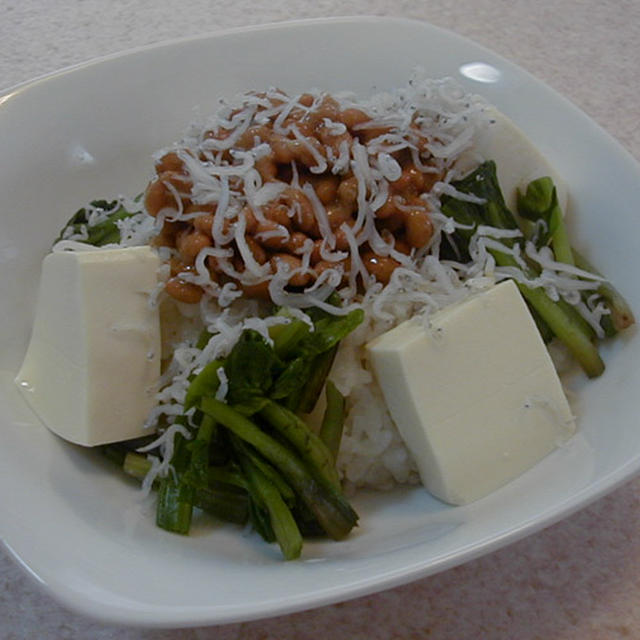 納豆豆腐丼しらすかけ