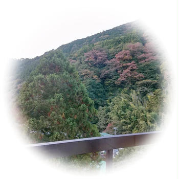 奥湯河原温泉「山翠楼」（神奈川県足柄下郡湯河原町）