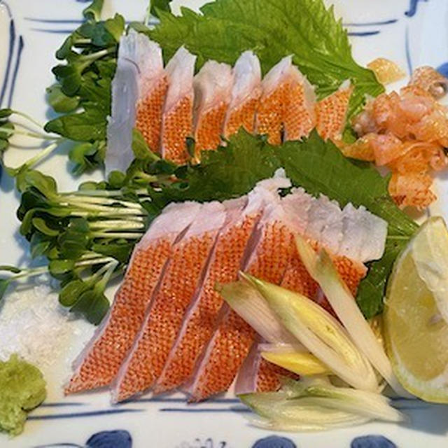 アカハタの湯霜造り・土瓶蒸し・塩焼き＆松茸ご飯