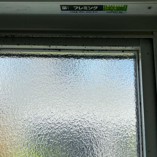 カビ取りしていたら、手がかぶれて赤くなってしまった