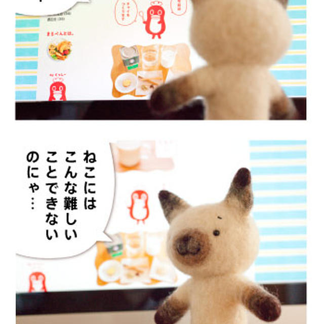 ねこでもできるチャイ