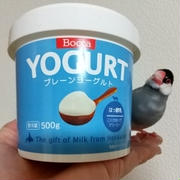 ヨーグルトいろいろ
