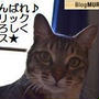 携帯より。。。