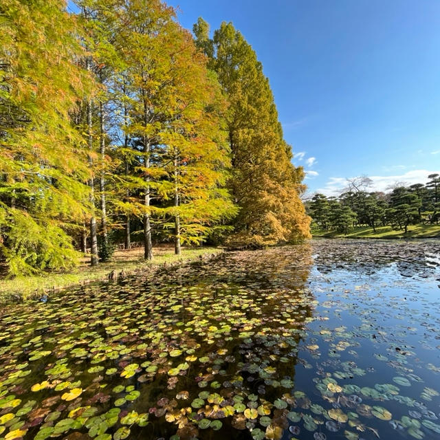 東京散歩⑥