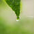 ひさしぶりの雨