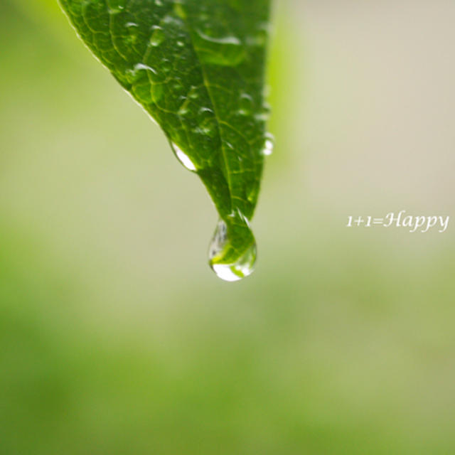 ひさしぶりの雨