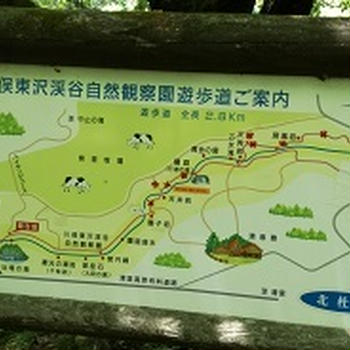 川俣東沢渓谷自然観察園遊歩道