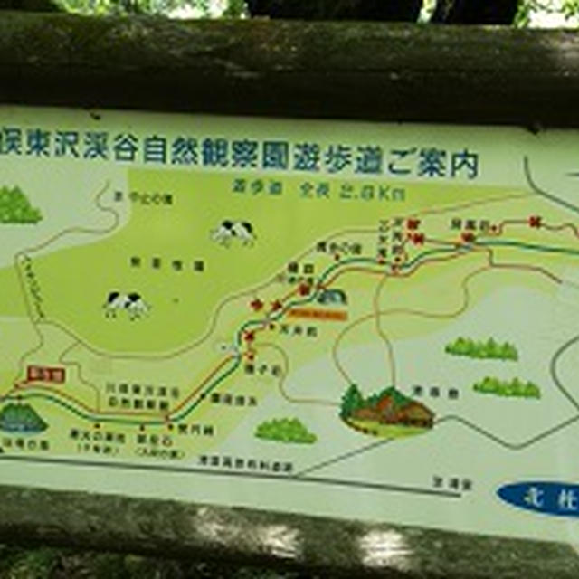川俣東沢渓谷自然観察園遊歩道