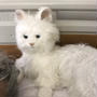 病院です。きよこです。