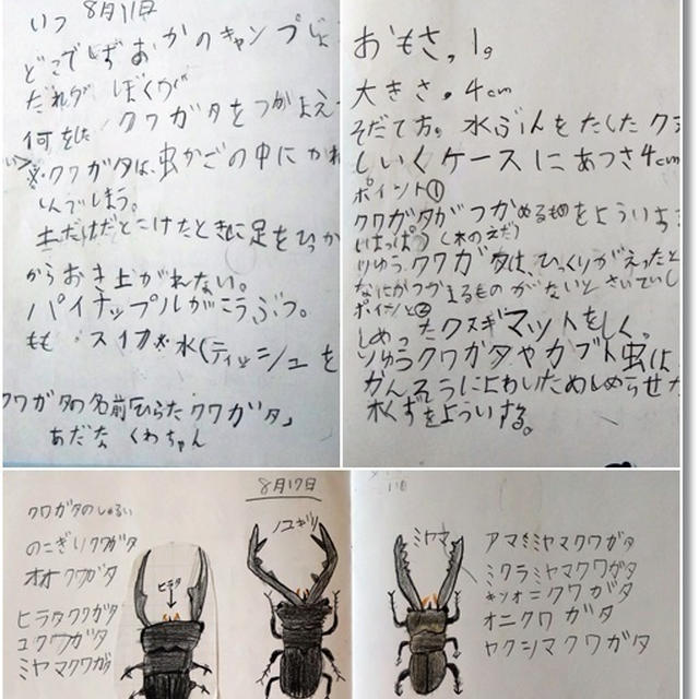 【夏休みの宿題】残るは読書感想文★セリアで買ったドリルと夏の大掃除を決行！
