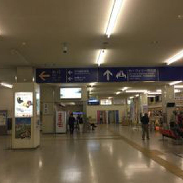 カーフェリーです。