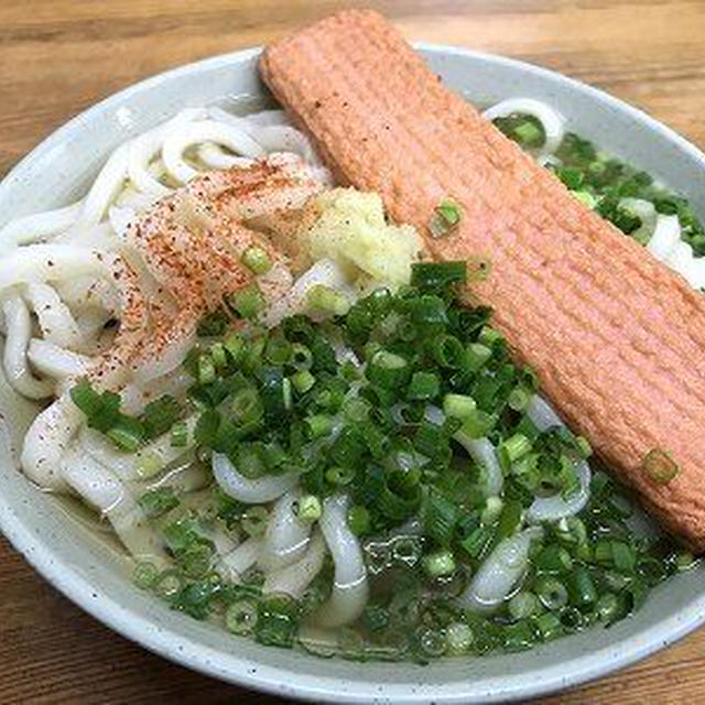 かけうどんと赤えび天。指先を温めるにゃんこ
