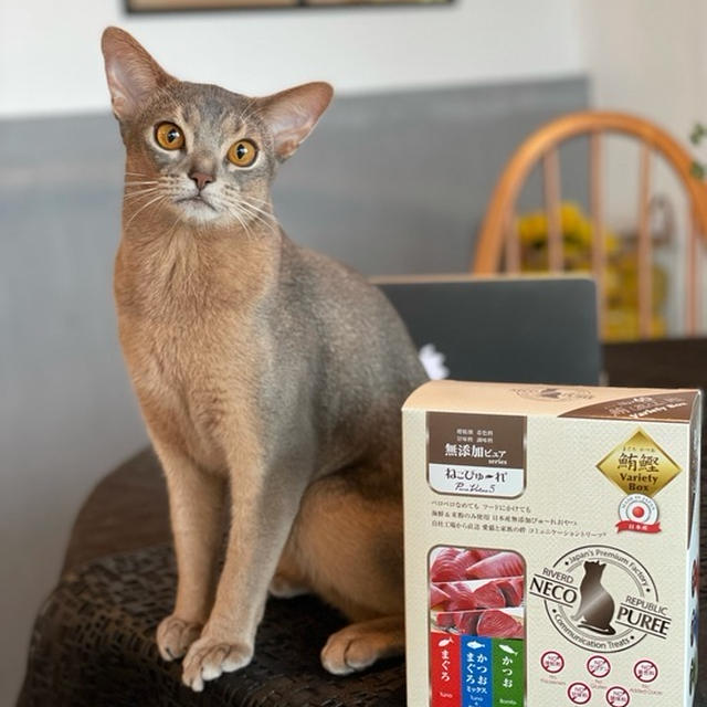 【楽天マラソン】シルクの薄い足首ウォーマー・チーズ・猫たちのおやつなど届いたもの色々と買い足したもの