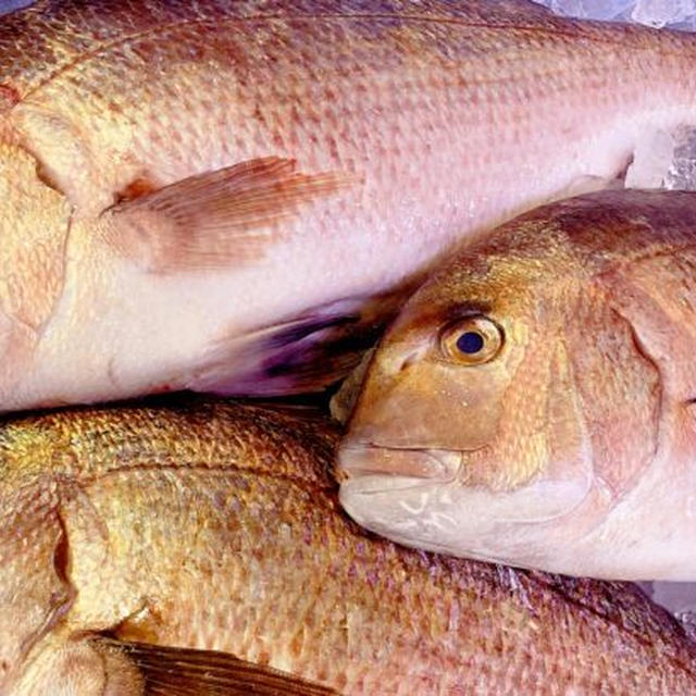 魚の見分け方【知って得する豆知識】｜寿司屋が教える美味しい魚の選び方