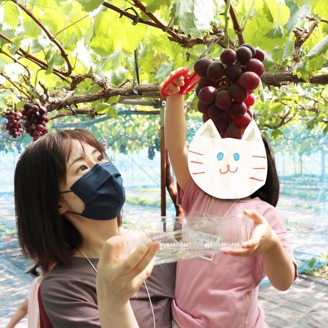 ぶどう狩りに行こう♪