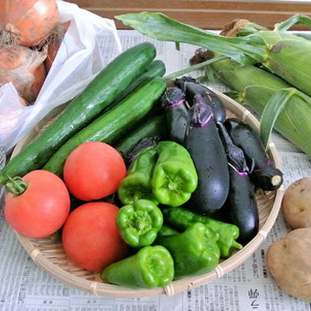 朝ごはん日記 )信州の元気な夏野菜♪