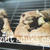 酵母でケーキ