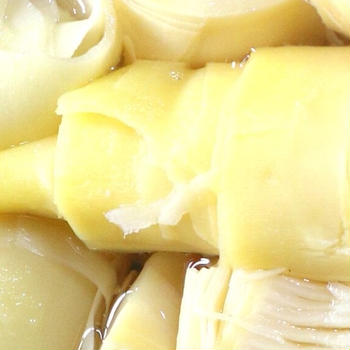 食べられるたけのこの姫皮を使ったメンマの美味しい作り方