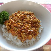 「クイジナート スリム＆ライト マルチハンドブレンダー」で楽々♪食物繊維たっぷり！ゴボウと人参と鶏ひき肉のトマトカレー
