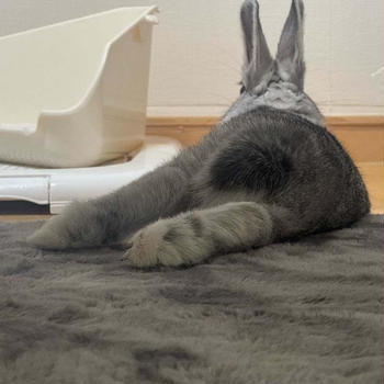 そんな日もある