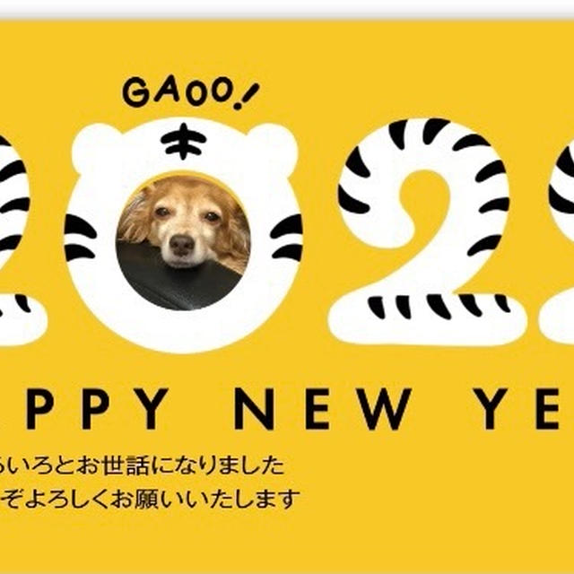 今年もよろしくお願いします♡今年の福袋事情♡