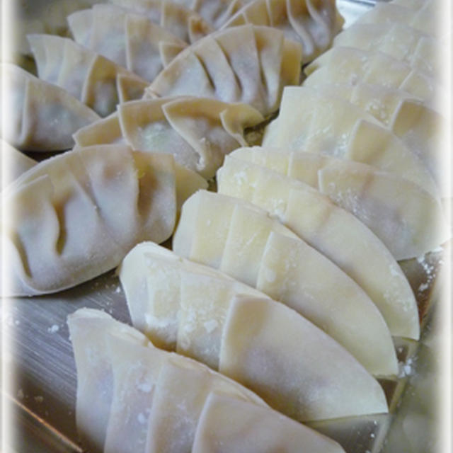 手作り餃子と週末のお出かけ