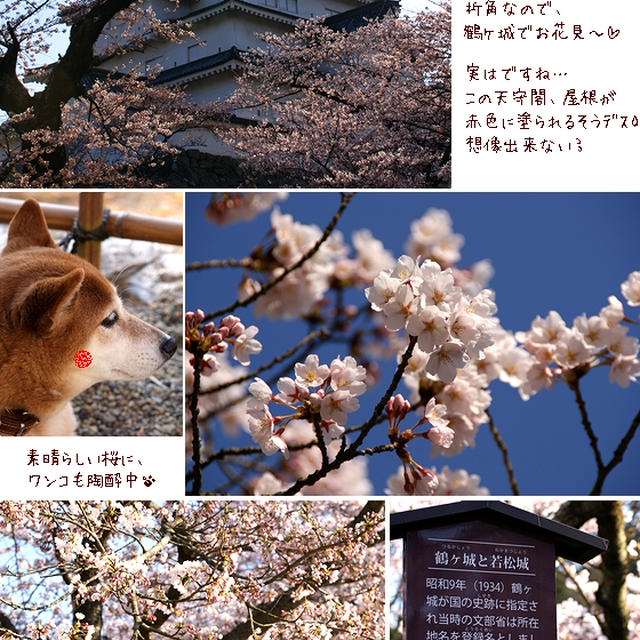 ■花の城■