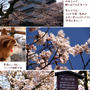 ■花の城■