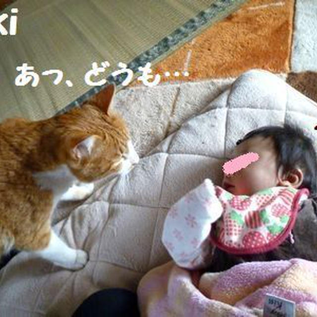 乳腺炎…一歩手前な予感＆娘とにゃんこ