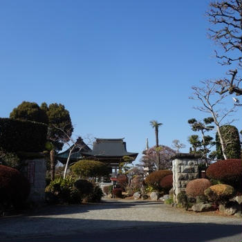 ■ウォーキング続【龍福寺②境内の隅々まで美しい装い♪