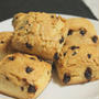 チョコチップスコーン　Scone of the chocolate tip