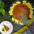 Mango Flan マンゴーフラン