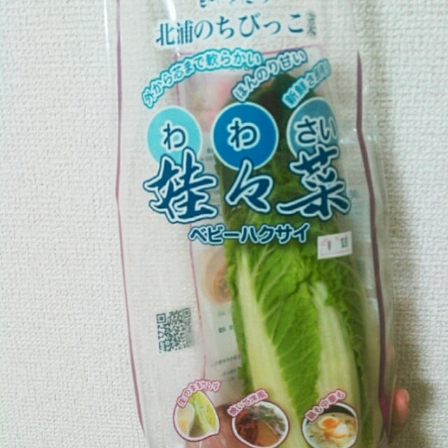 珍しい野菜☆わわさい(ベビーはくさい)を食べたよ