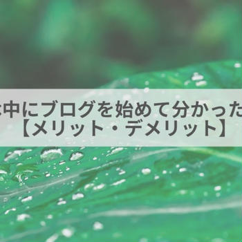 育休中にブログを始めて分かったこと【メリット・デメリット】