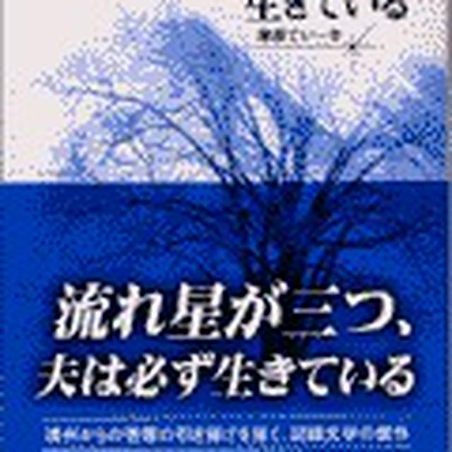 唐戸市場へ行ってきました！