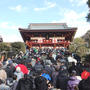 鎌倉八幡宮の初詣