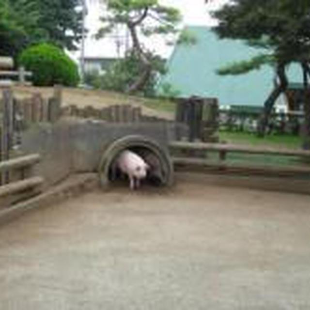 牧場