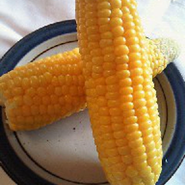 夏が近いのか、まだまだなのか？