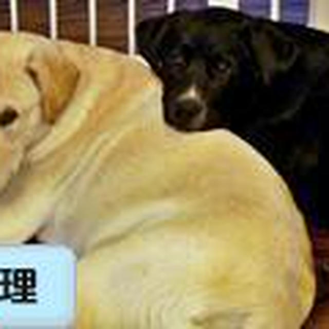 凄～～～く、怖い話！！！