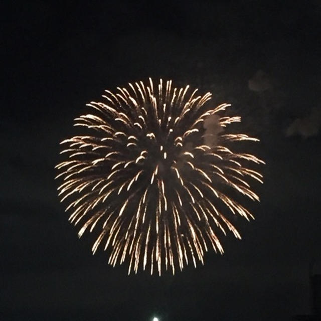 夏休みまとめて〜