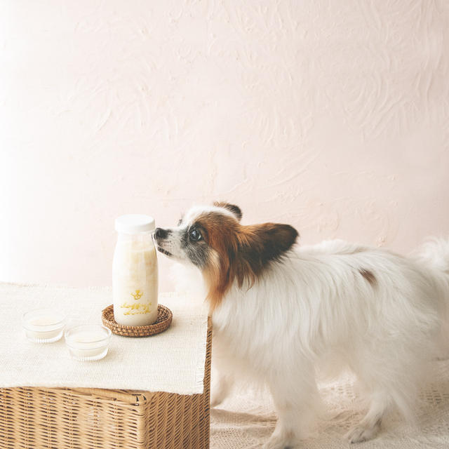 ドリンクボトルで作れる簡単犬用シェイク♡