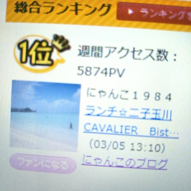 サンキュブログが１位だったので